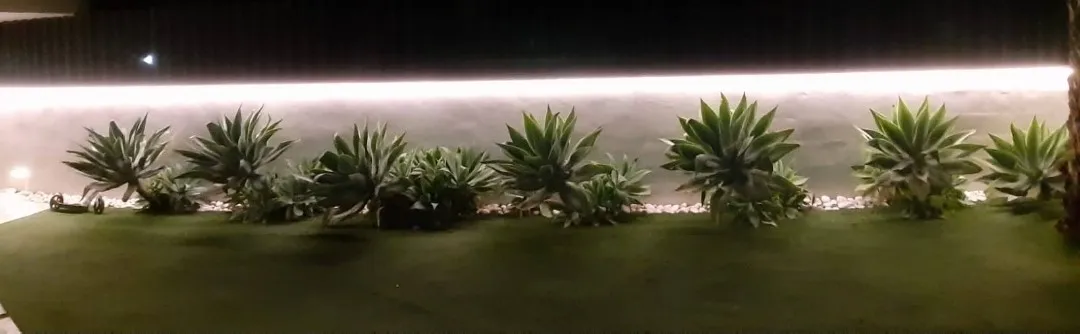 Iluminación de exteriores y jardines en Alicante